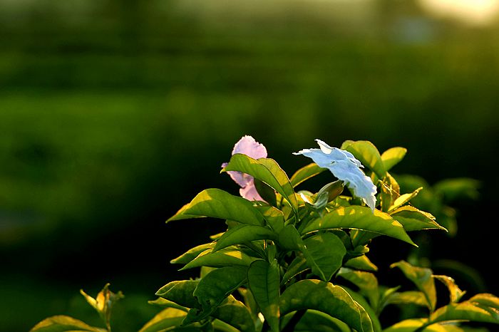 nEO_IMG_DSC07033.jpg