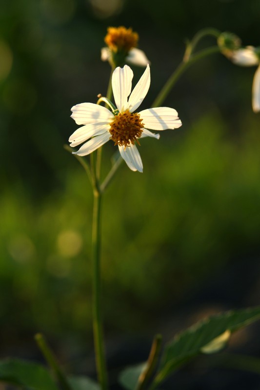 a9776178_s.jpg