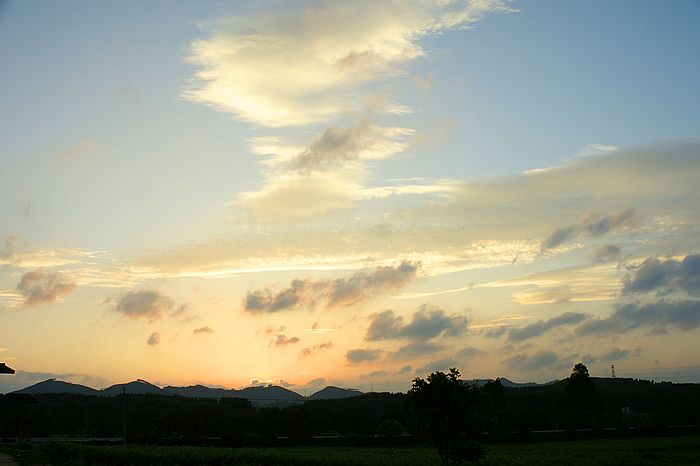 nEO_IMG_DSC07061.jpg