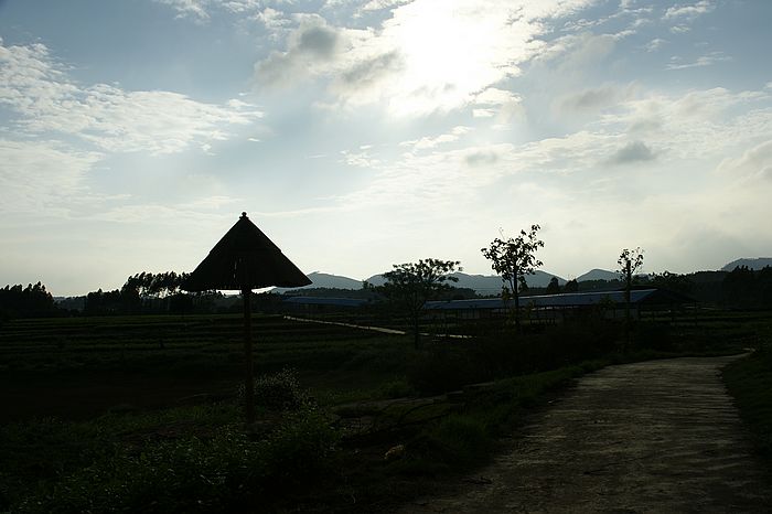 nEO_IMG_DSC06962.jpg