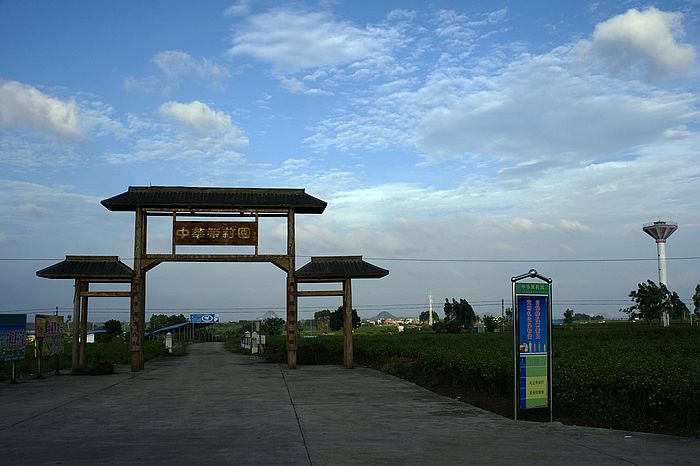 nEO_IMG_DSC07008.jpg