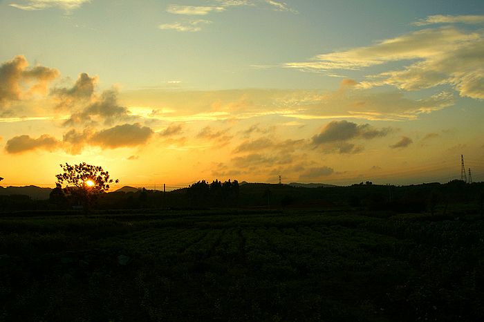 nEO_IMG_DSC07053.jpg