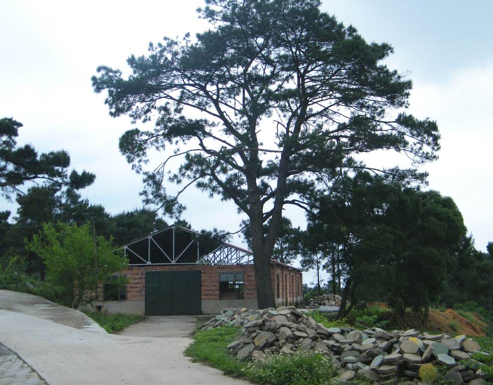DSCF5378.jpg