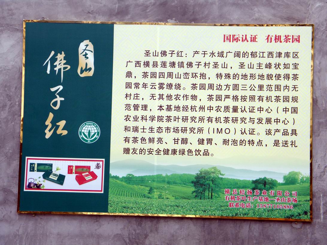 DSCF5385.jpg