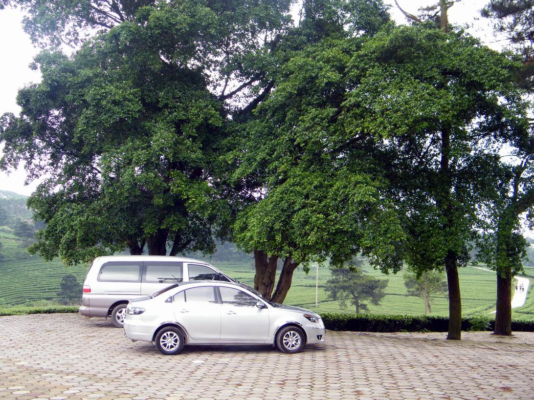 DSCF5386.jpg