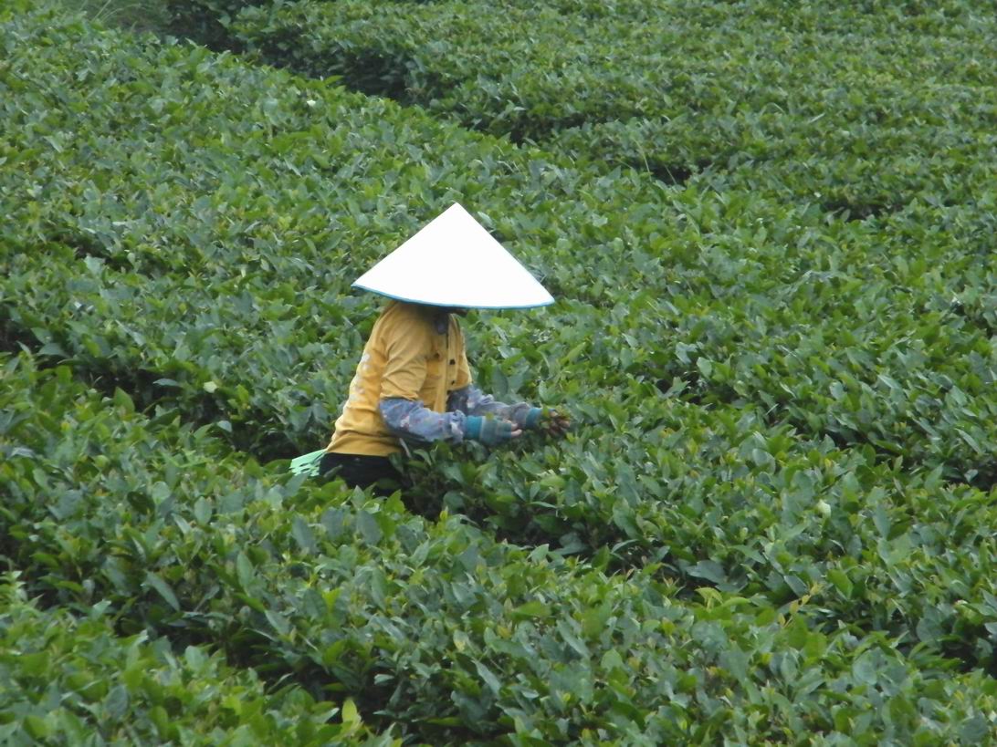 DSCF5400.jpg