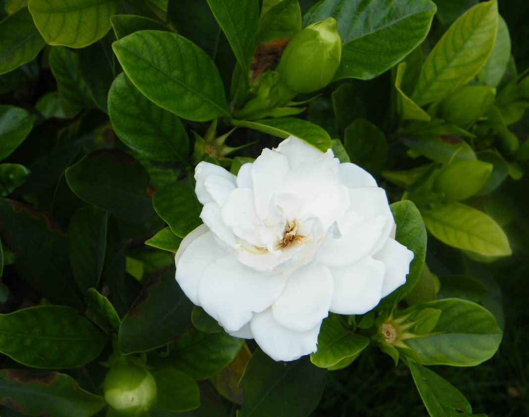 DSCF5416.jpg