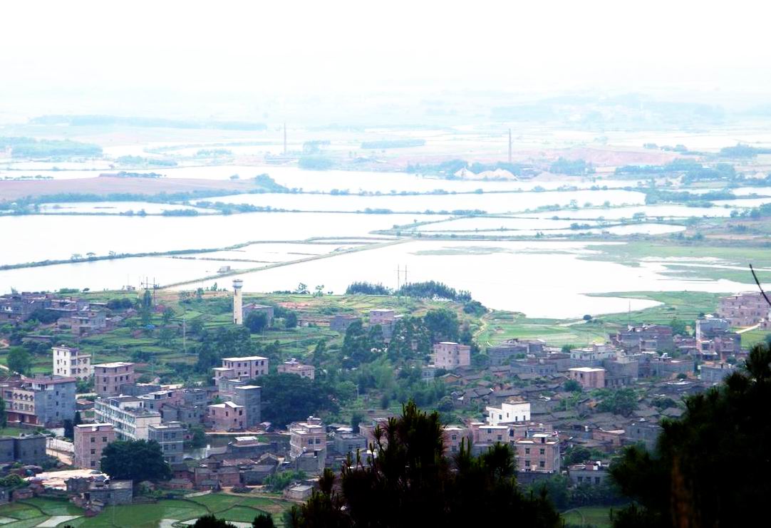 DSCF5444.jpg