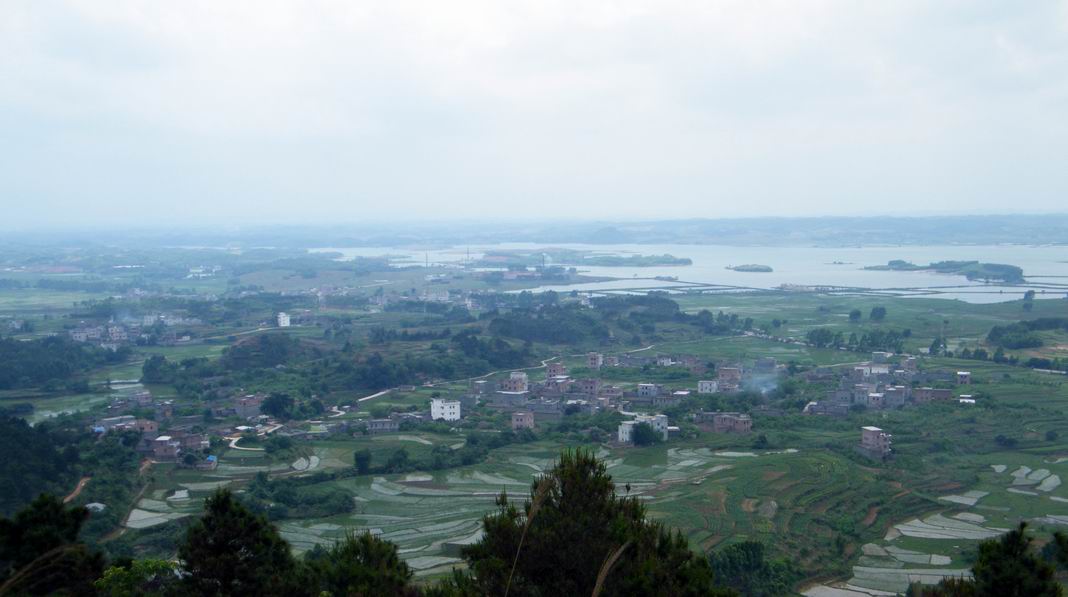 DSCF5447.jpg