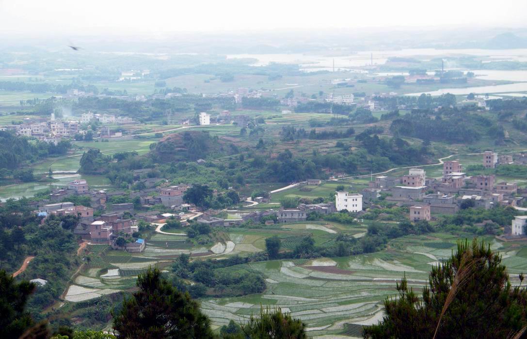 DSCF5448.jpg