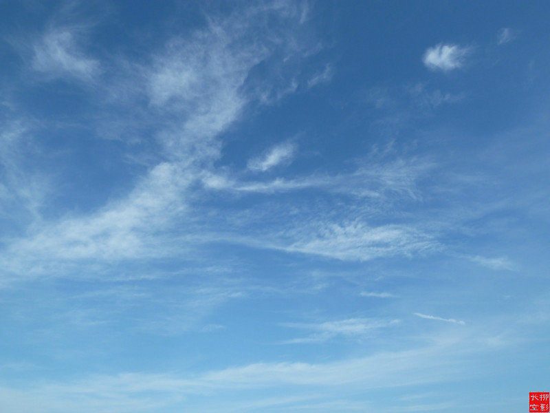 P1030590.JPG