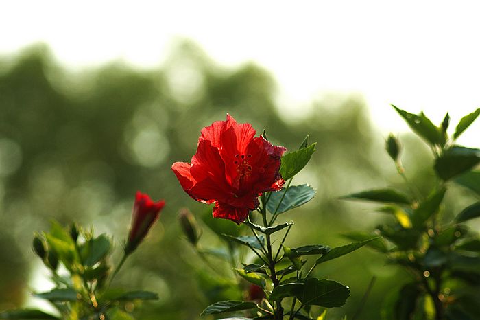 nEO_IMG_DSC07174.jpg