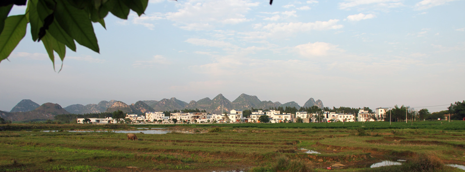 IMG_0946 副本.jpg