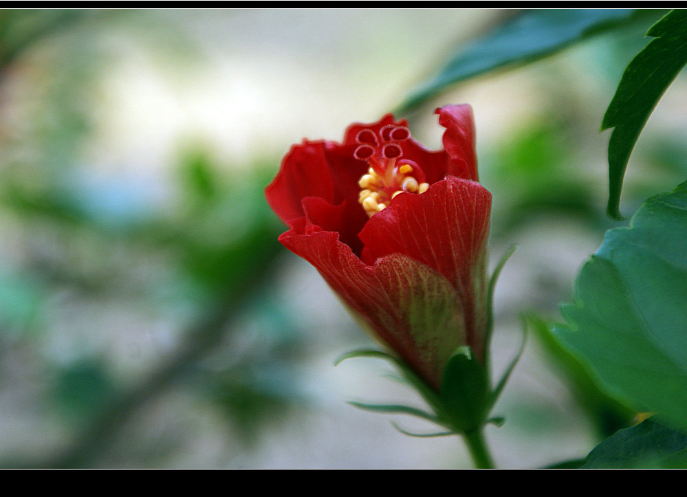 DSC09033.JPG