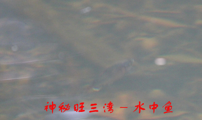 IMG_0570 拷贝.jpg