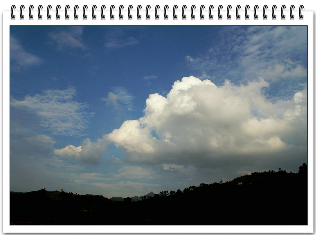 DSC08865.jpg