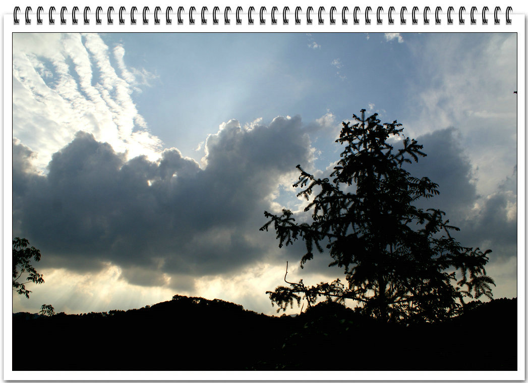 DSC08857.jpg