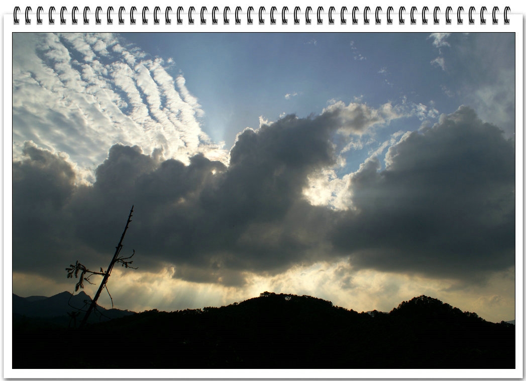 DSC08855.jpg