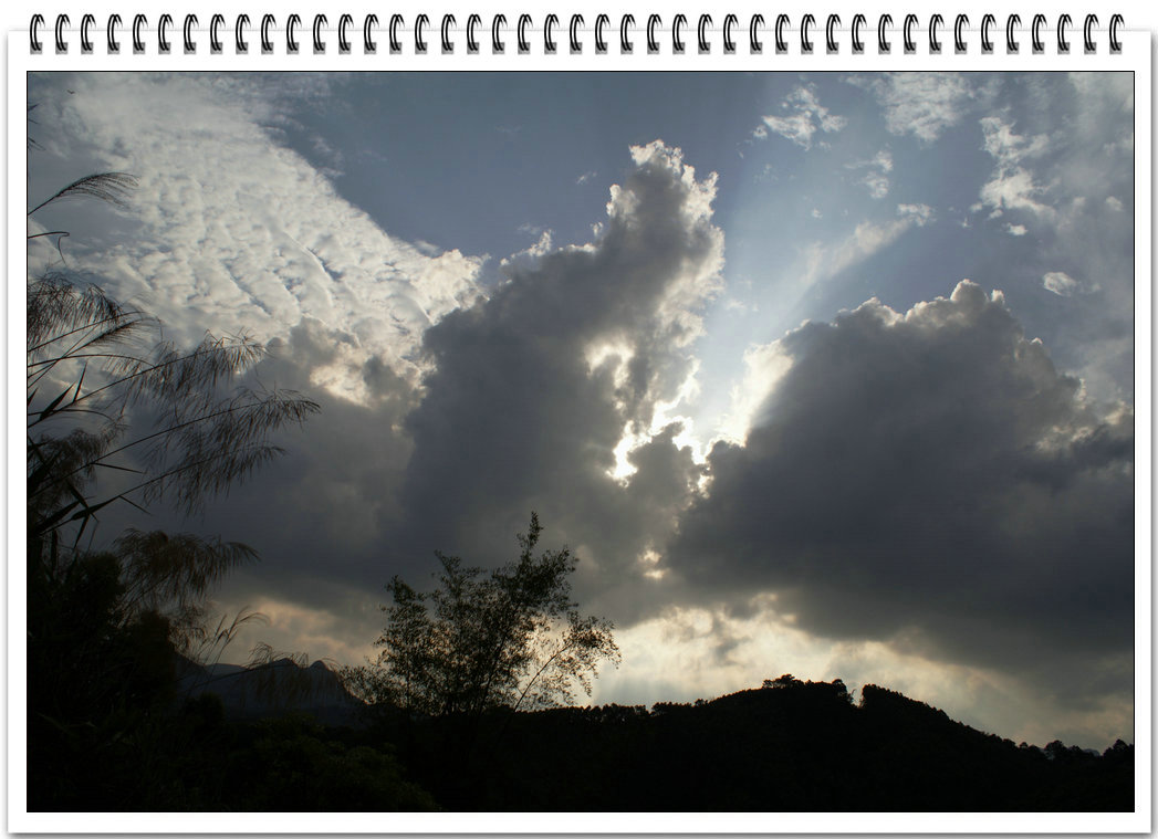DSC08850.jpg