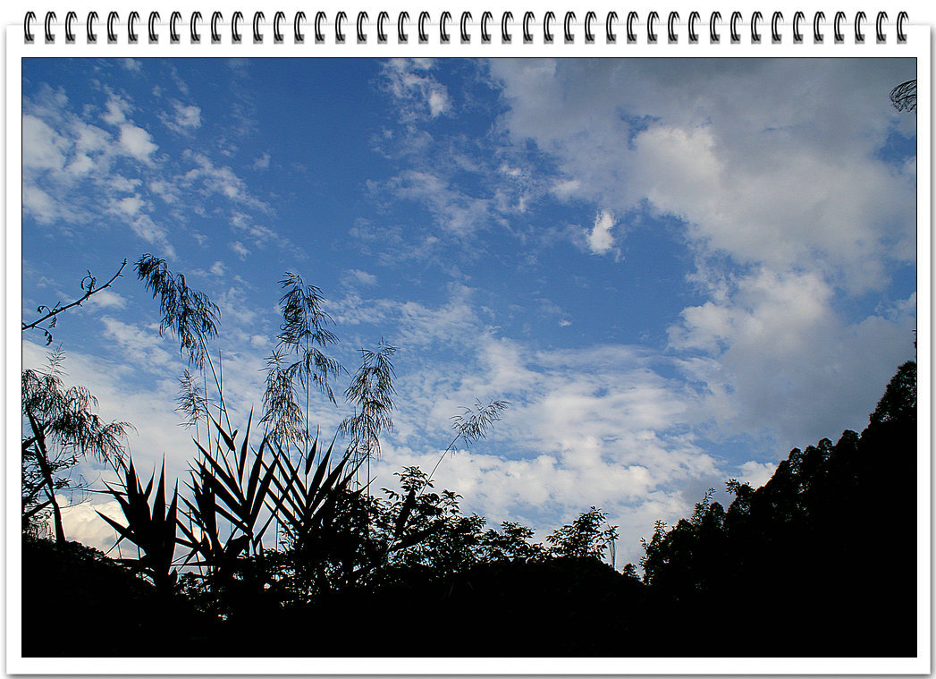 DSC08785.jpg