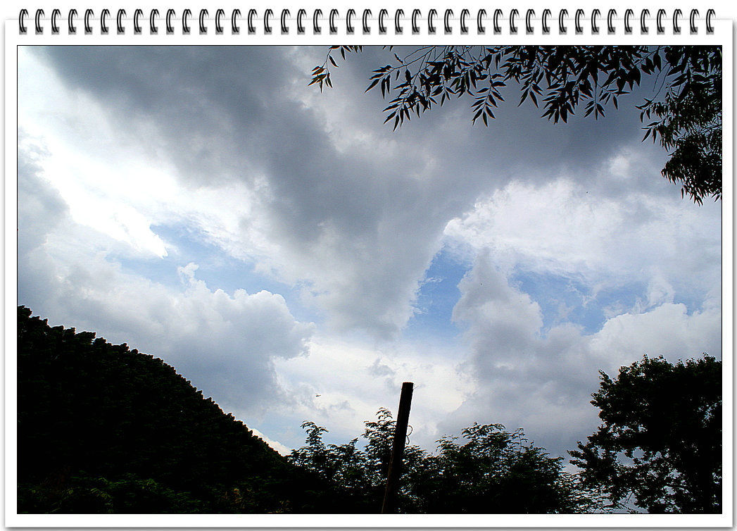 DSC08759.jpg