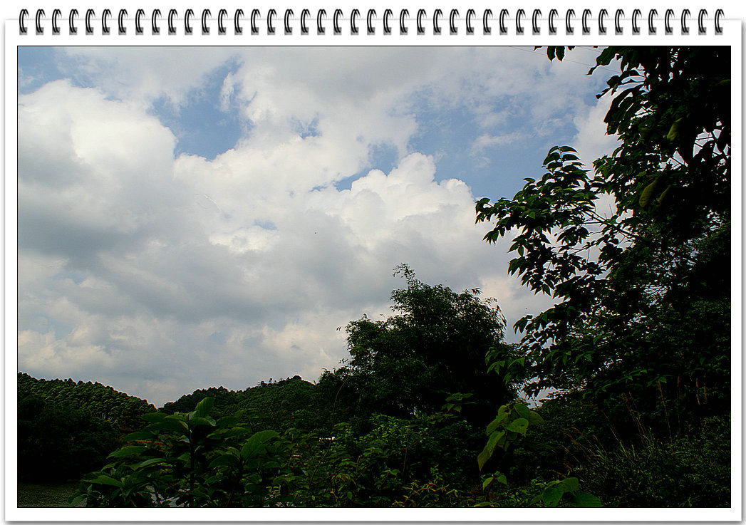 DSC08706.jpg