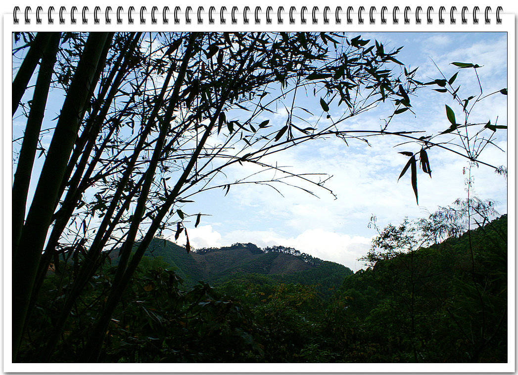 DSC08781.jpg