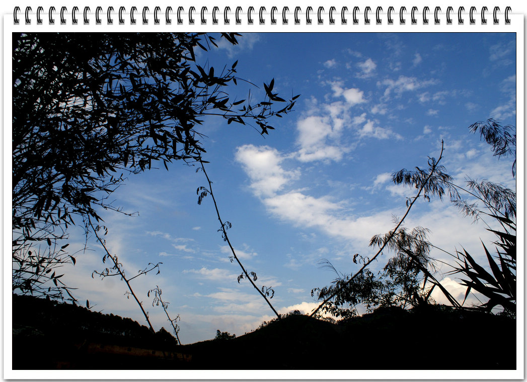 DSC08784.jpg