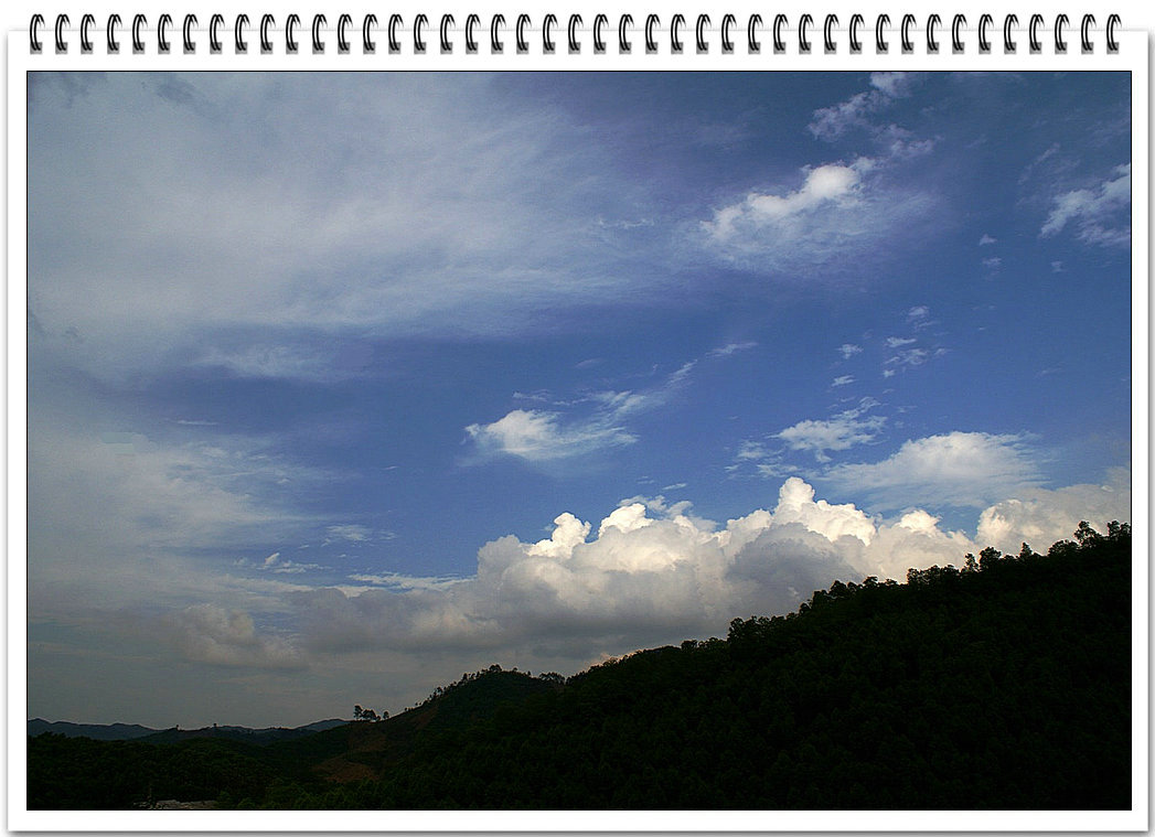 DSC08824.jpg