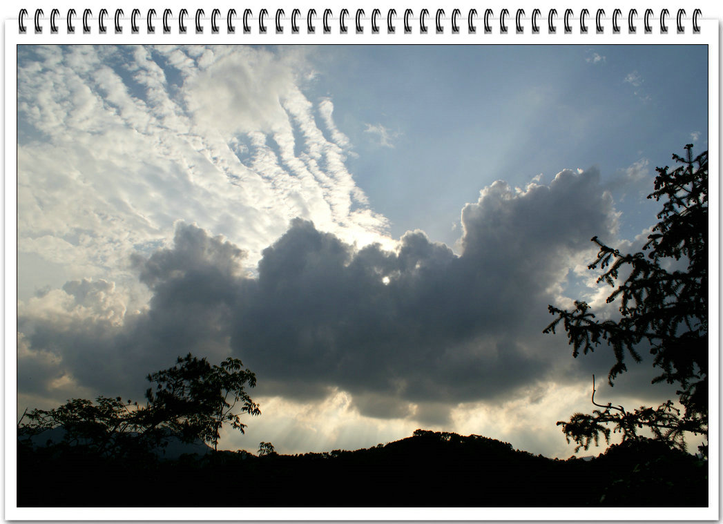 DSC08858.jpg