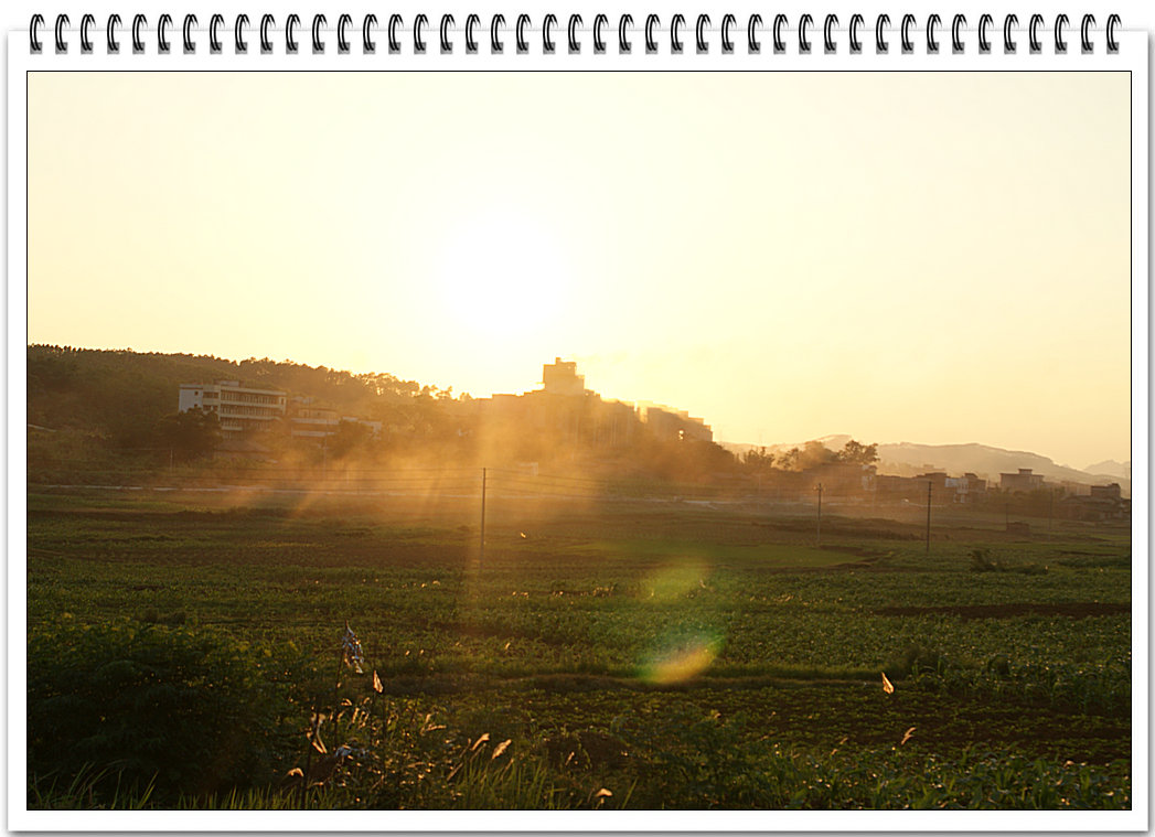 DSC09161.JPG