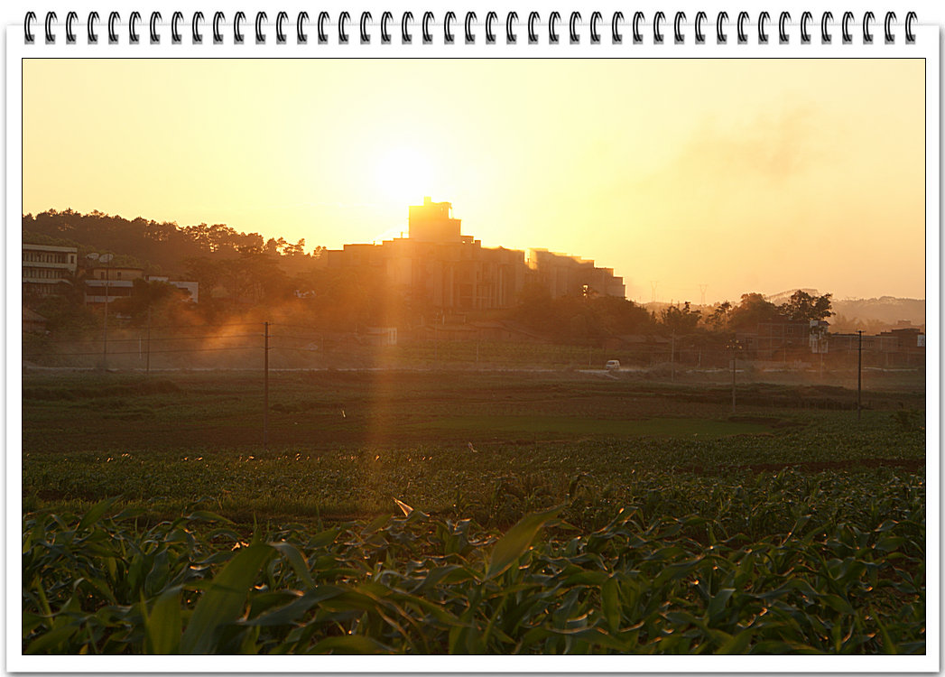 DSC09168.JPG