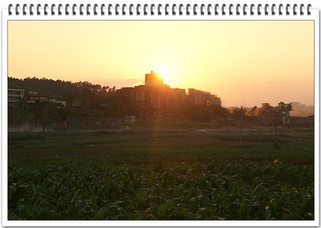 DSC09173.JPG