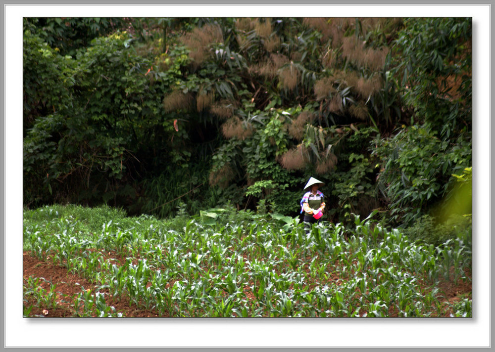 DSC08978.JPG