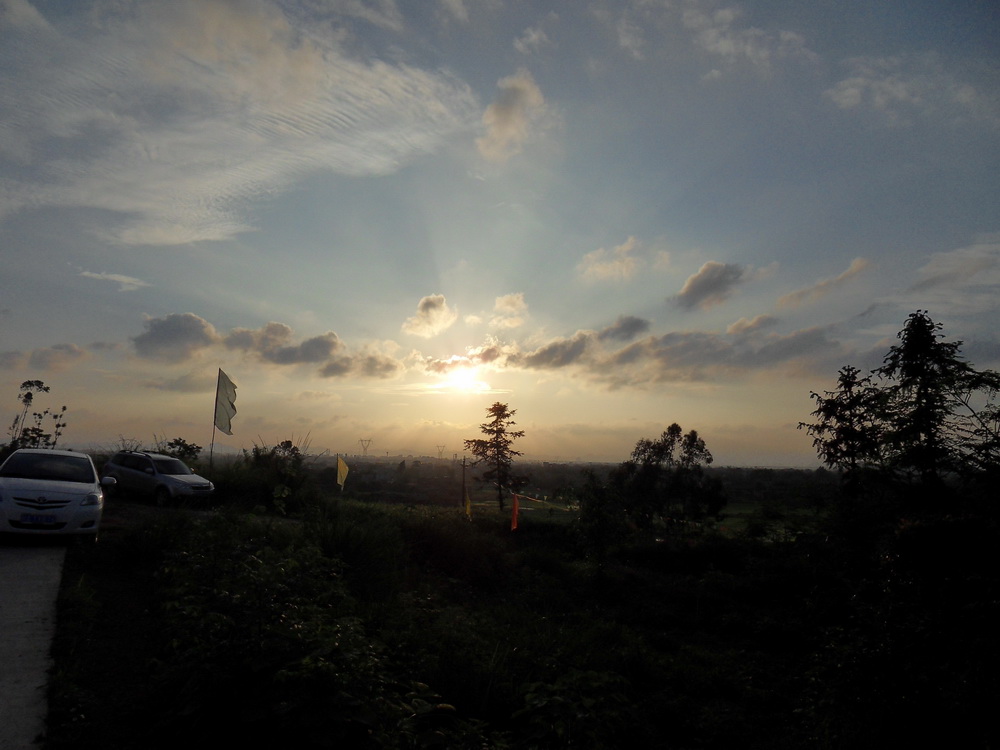 SDC11898.jpg