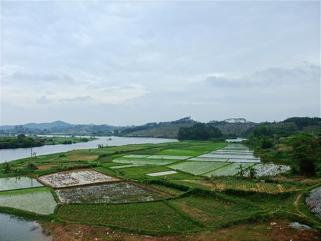 DSCF6301.jpg