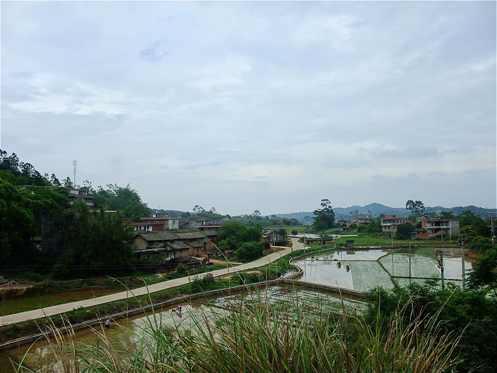 DSCF6308.jpg