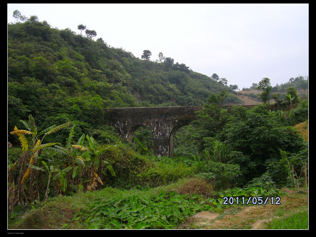 DSCK0218.JPG