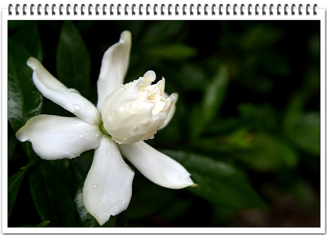 DSC09582_副本.JPG