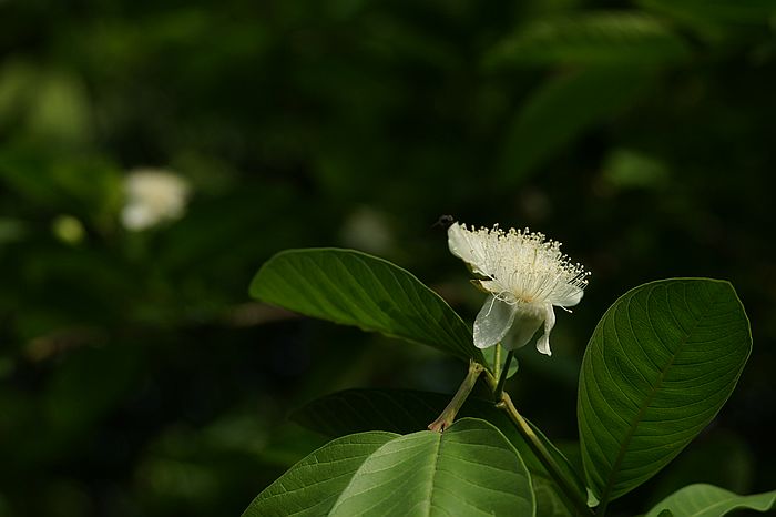 nEO_IMG_DSC08196.jpg