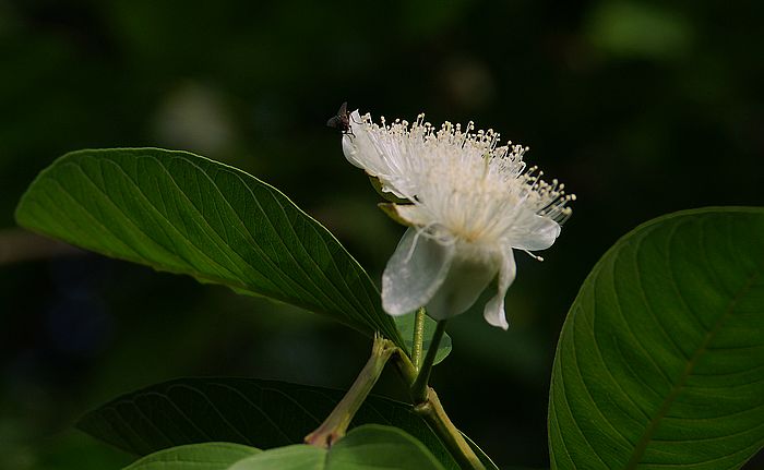 nEO_IMG_DSC08198.jpg