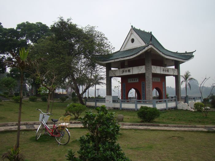 DSC05596.jpg