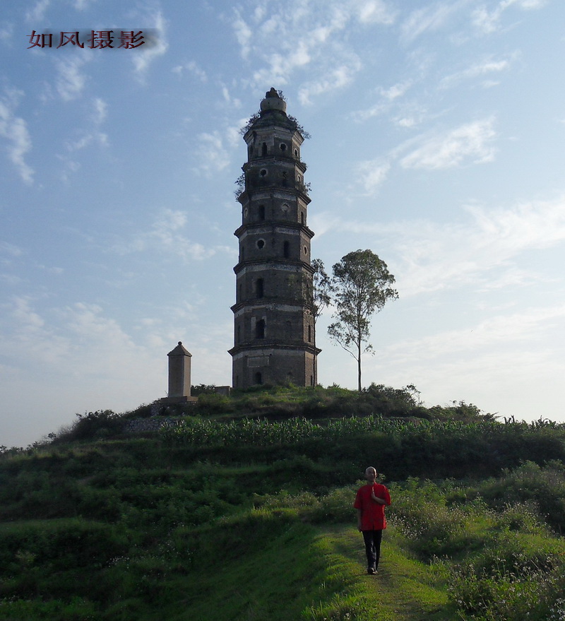 SDC12781.jpg
