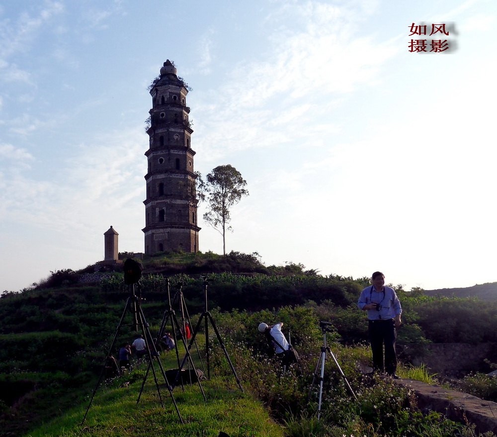 SDC12830.jpg