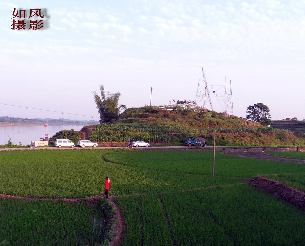 SDC12880.jpg