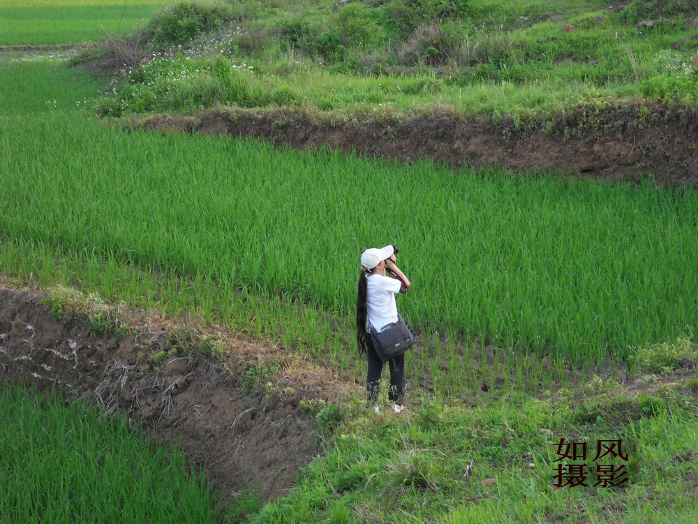SDC12881.jpg
