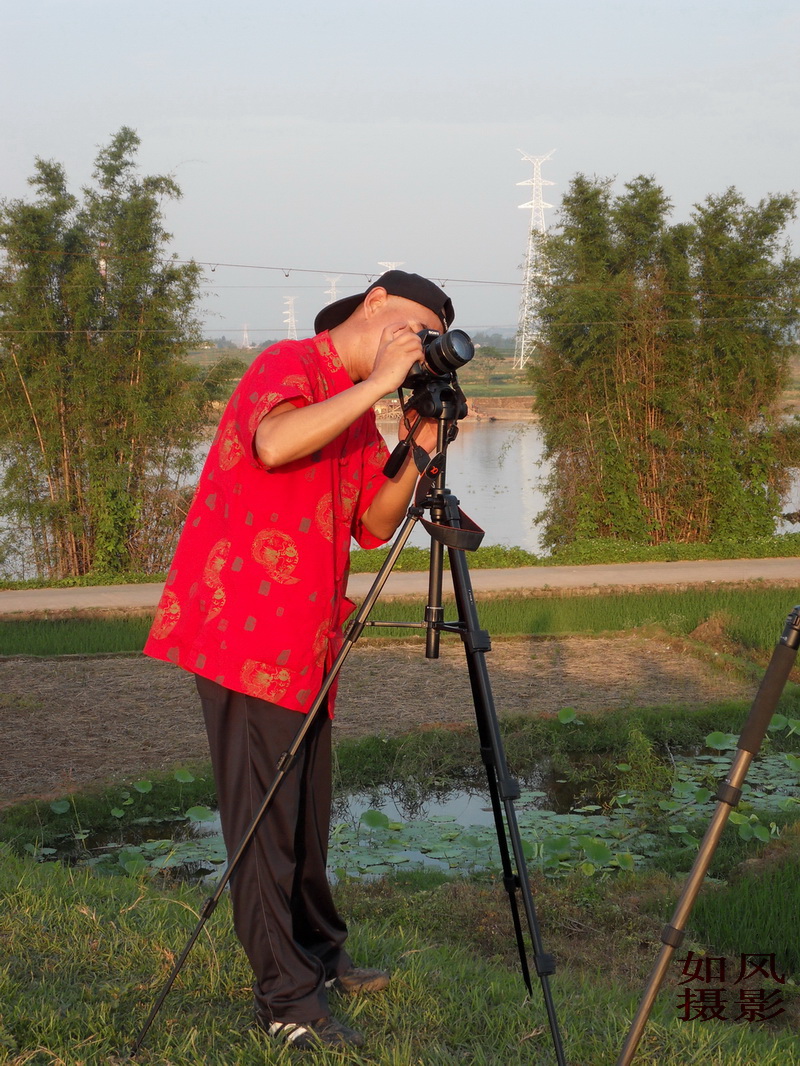 SDC12891.jpg
