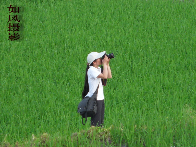 SDC12893.jpg