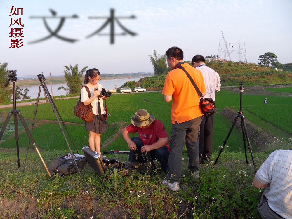 SDC12910.jpg