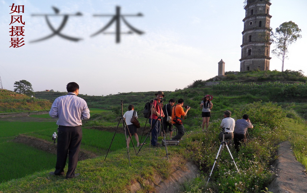 SDC12913.jpg
